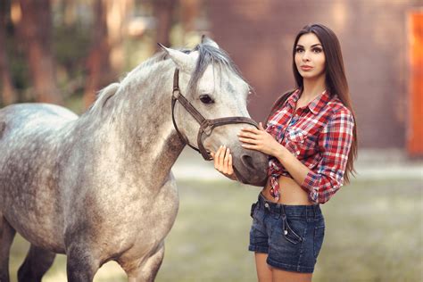 animals sexy video|1,180+ Free Girl And Horse 4K & HD Stock Videos